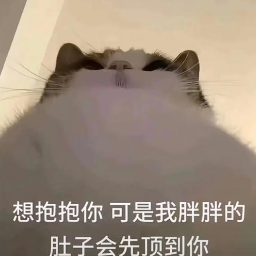 这样下去我绝对会死